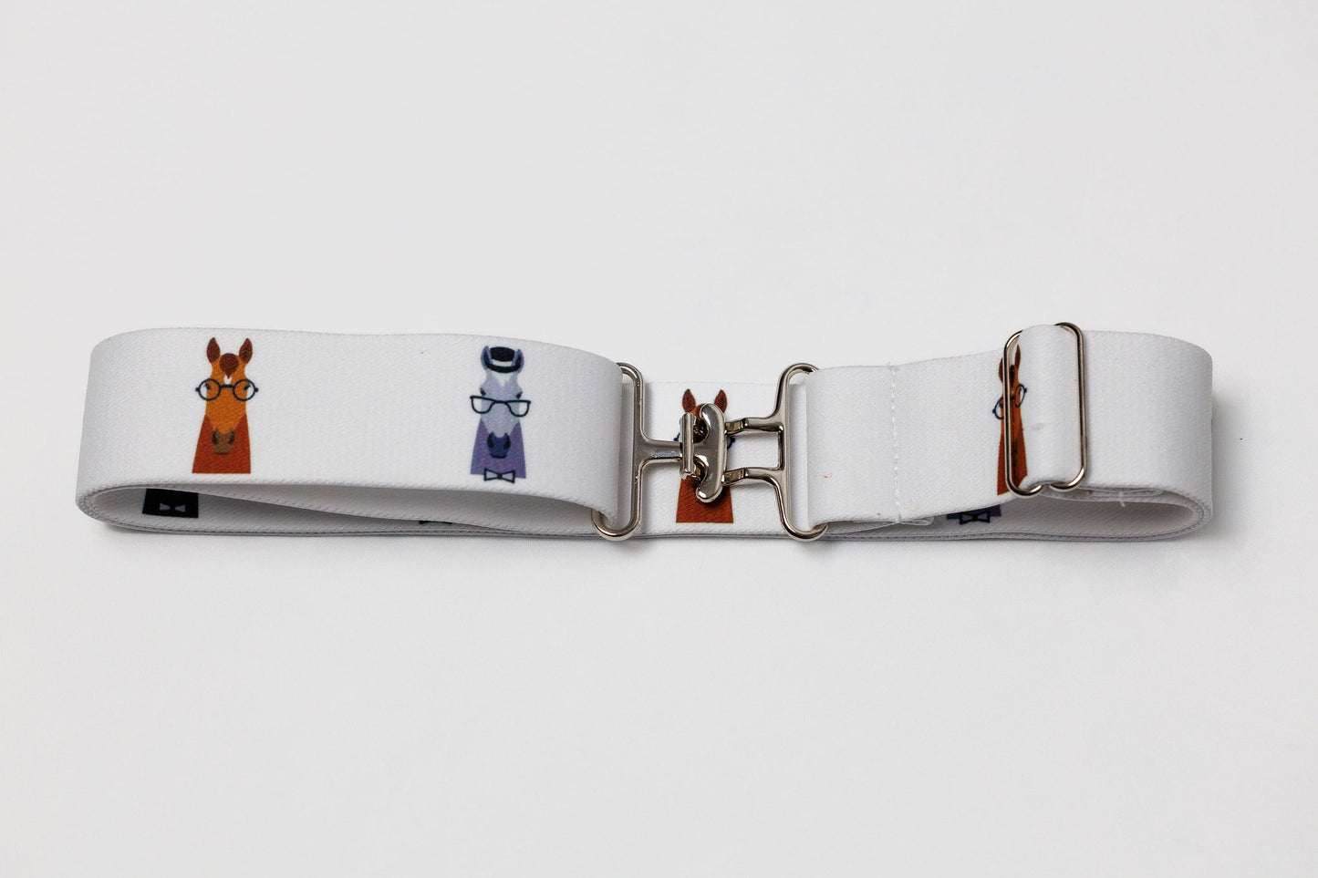 Surcingle Belt - Silver Hardware