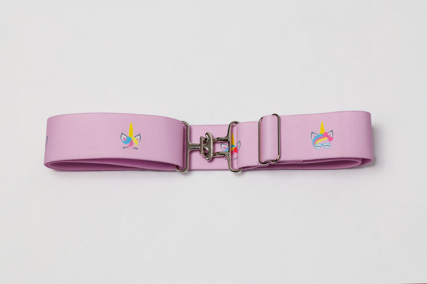 Surcingle Belt - Silver Hardware