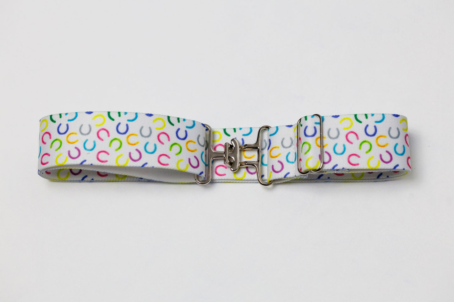 Surcingle Belt - Silver Hardware