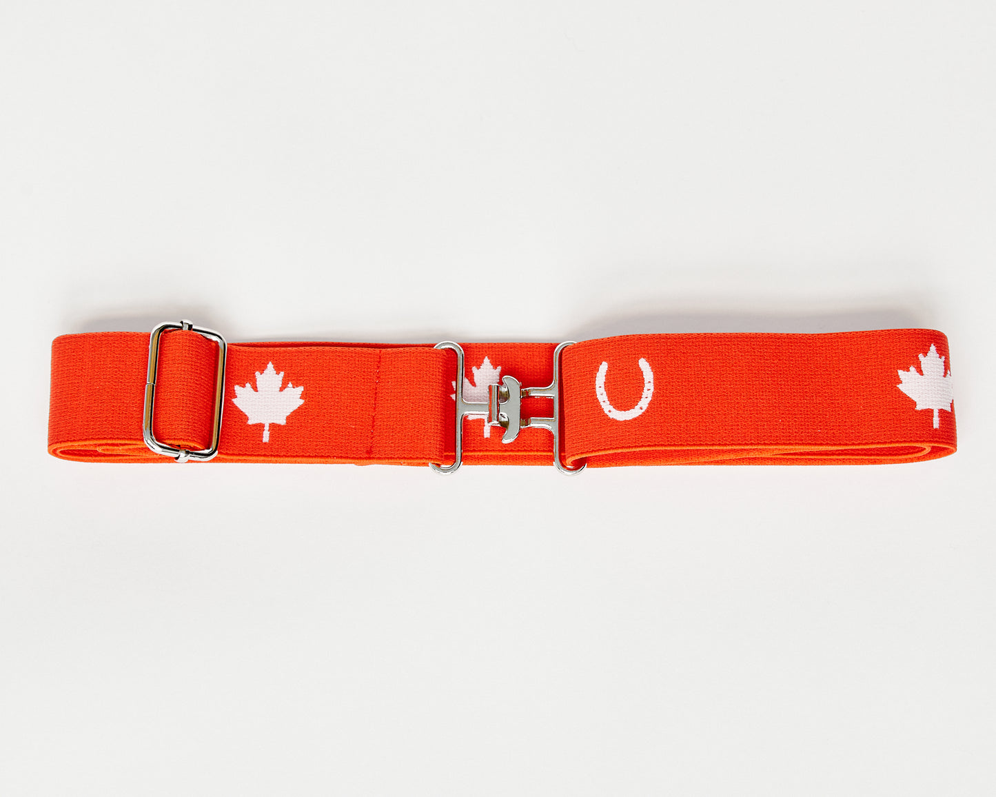 Surcingle Belt - Silver Hardware