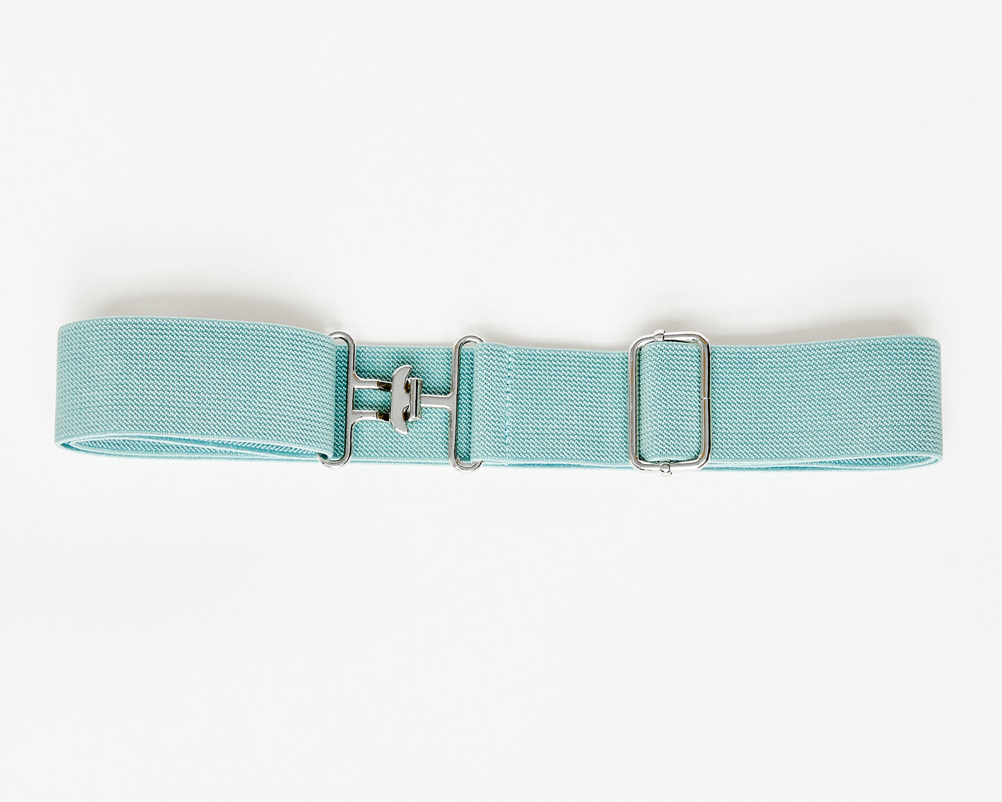 Surcingle Belt - Silver Hardware