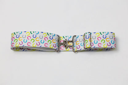 Surcingle Belt - Silver Hardware